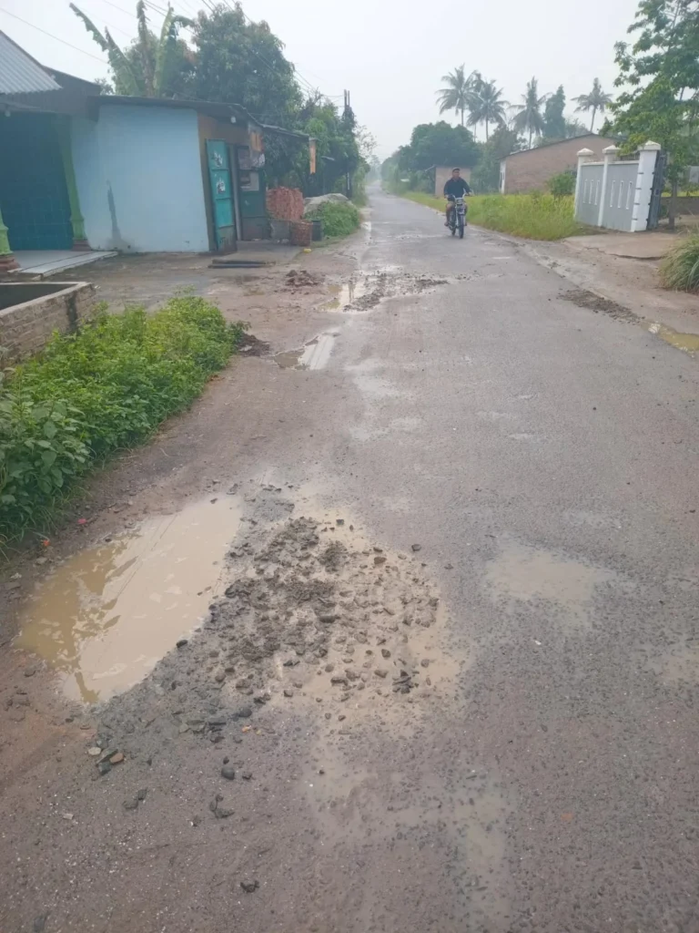 TIMBUNAN BESKOS LEBIH TINGGI DARI ASPAL, PEKERJAAN JALAN SIDODADI – RAMUNIA DIDUGA ABAIKAN SPEK    Lubang Masih Berair Langsung Ditimbun, SDA BMBK Diminta Bertindak