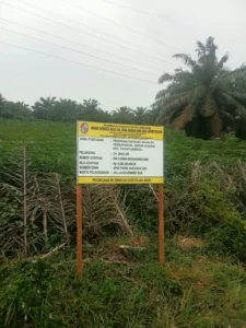 VIRAL DULU DIPAKU DI POHON SAWIT, PLANK PROYEK Rp6,2 M DI PAGAR MERBAU KINI DIPINDAH