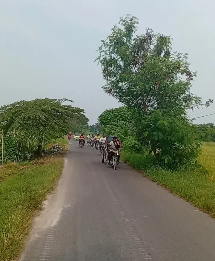 Belasan Tahun Kabel Listrik PLN Lubuk Pakam Bergelantungan Di Pohon,Warga Dusun ll Hidup Dalam Bahaya
